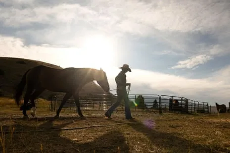 Meet the US Cowgirls Transforming Contemporary Ranch Life