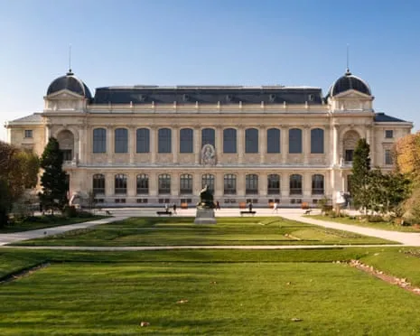 Priceless Golden Pieces Stolen in Bold Raid at France's Natural History Museum